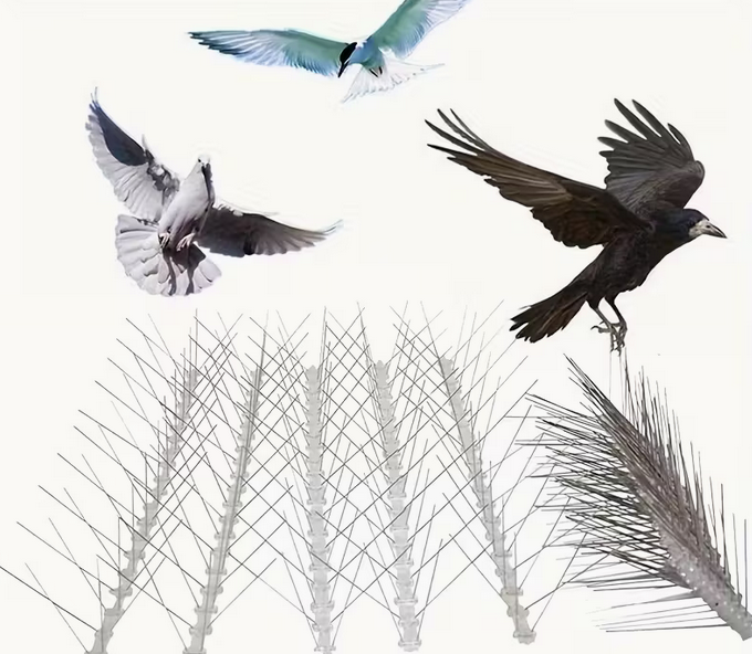 Защита от птици